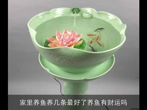家里养鱼养几条最好了养鱼有财运吗