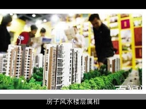 房子风水楼层属相