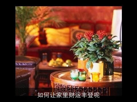 如何让家里财运丰登呢