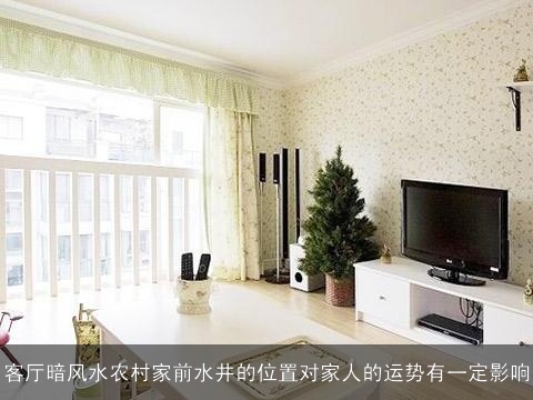 客厅暗风水农村家前水井的位置对家人的运势有一定影响