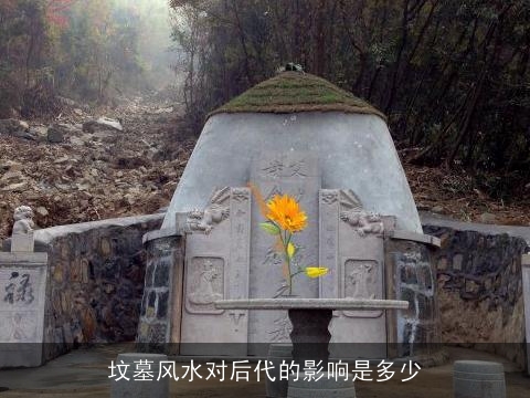 坟墓风水对后代的影响是多少