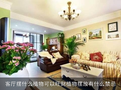 客厅摆什么植物可以旺财植物摆放有什么禁忌