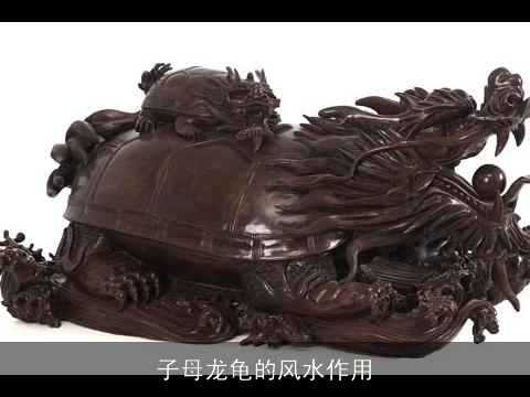 子母龙龟的风水作用