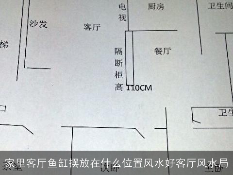 家里客厅鱼缸摆放在什么位置风水好客厅风水局