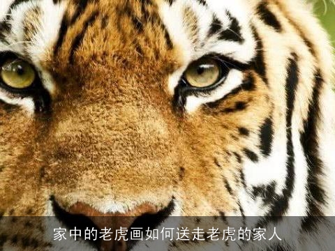 家中的老虎画如何送走老虎的家人