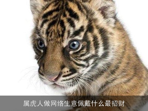 属虎人做网络生意佩戴什么最招财