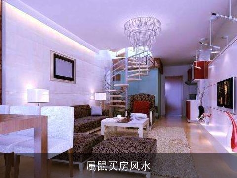 属鼠买房风水