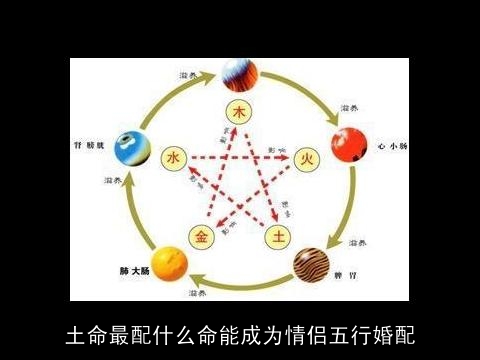 土命最配什么命能成为情侣五行婚配