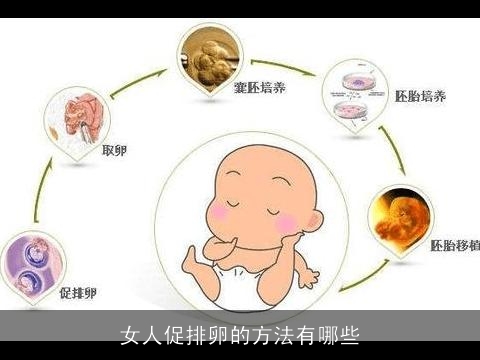 女人促排卵的方法有哪些