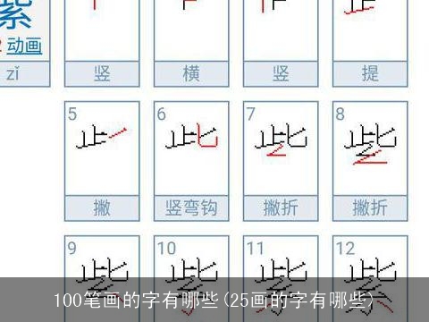100笔画的字有哪些(25画的字有哪些)