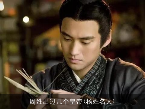 周姓出过几个皇帝(杨姓名人)