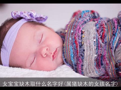 女宝宝缺木取什么名字好(属猪缺木的女孩名字)
