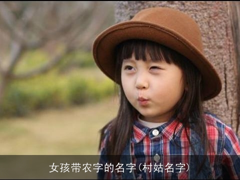 女孩带农字的名字(村姑名字)
