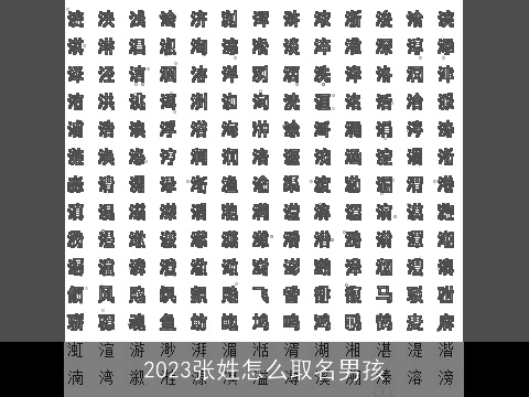 2023张姓怎么取名男孩