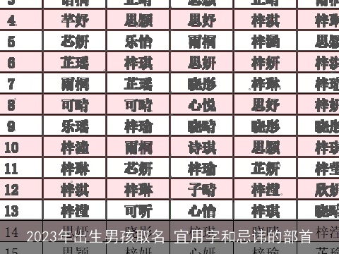 2023年出生男孩取名 宜用字和忌讳的部首