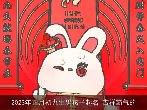 2023年正月初九生男孩子起名 吉祥霸气的