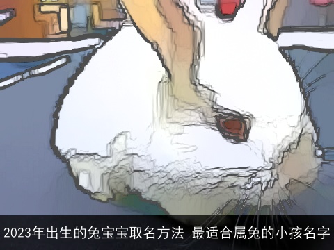 2023年出生的兔宝宝取名方法 最适合属兔的小孩名字