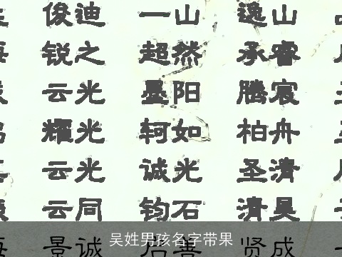 吴姓男孩名字带果