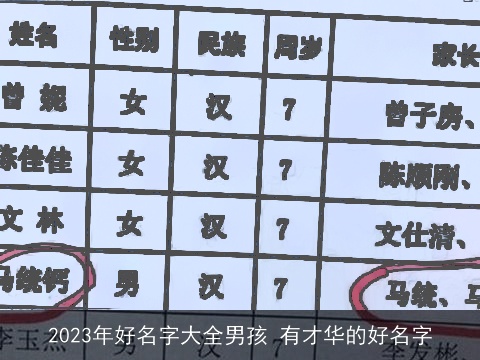 2023年好名字大全男孩 有才华的好名字