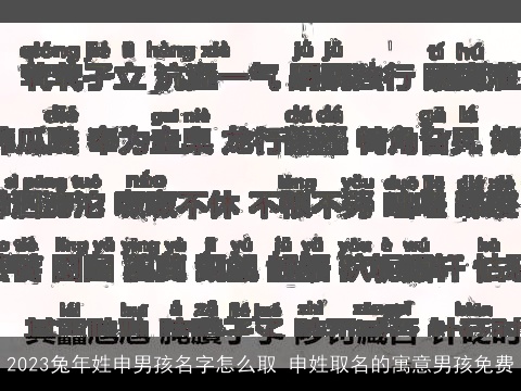 2023兔年姓申男孩名字怎么取 申姓取名的寓意男孩免费
