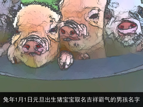 兔年1月1日元旦出生猪宝宝取名吉祥霸气的男孩名字