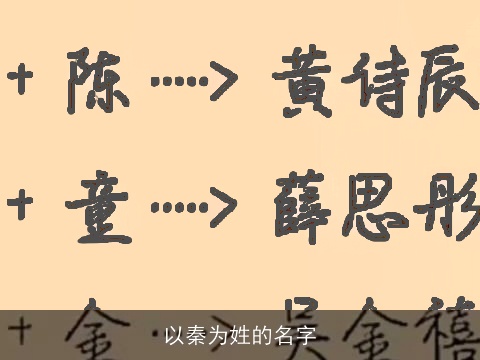 以秦为姓的名字