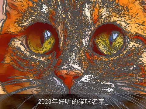 2023年好听的猫咪名字_