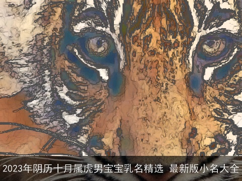 2023年阴历十月属虎男宝宝乳名精选 最新版小名大全