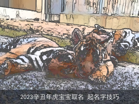 2023辛丑年虎宝宝取名 起名字技巧