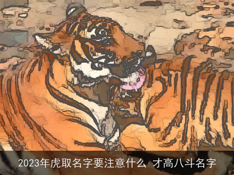 2023年虎取名字要注意什么 才高八斗名字