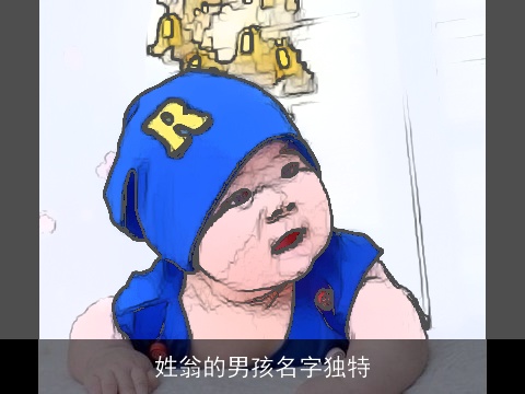 姓翁的男孩名字独特