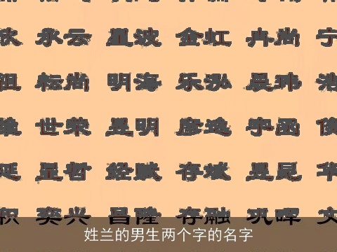 姓兰的男生两个字的名字