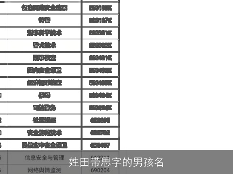 姓田带思字的男孩名