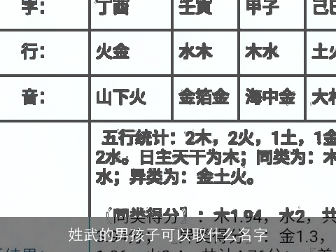 姓武的男孩子可以取什么名字