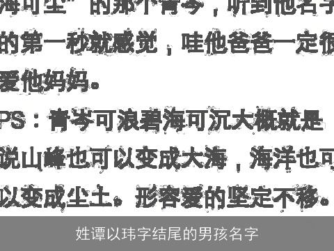 姓谭以玮字结尾的男孩名字