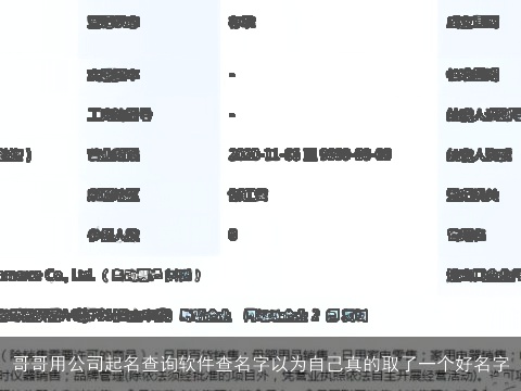 哥哥用公司起名查询软件查名字以为自己真的取了一个好名字