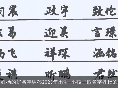 姓杨的好名字男孩2023年出生 小孩子取名字姓杨的