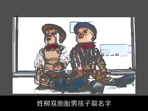 姓柳双胞胎男孩子取名字