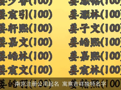 南京注册公司起名 寓意吉祥独特名字