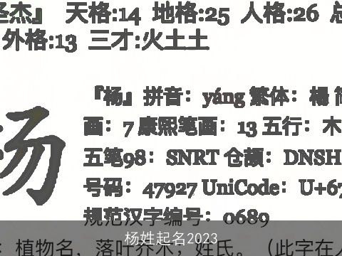 杨姓起名2023
