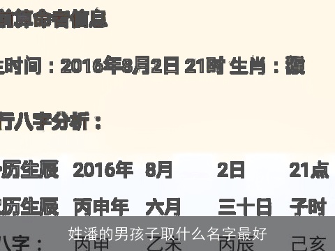 姓潘的男孩子取什么名字最好