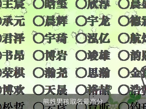 熊姓男孩取名最高分