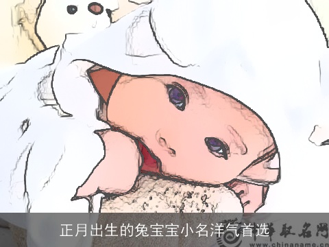 正月出生的兔宝宝小名洋气首选