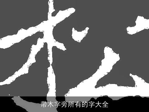 带木字旁所有的字大全