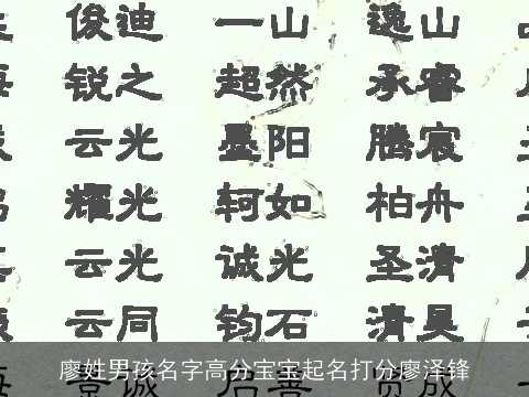 廖姓男孩名字高分宝宝起名打分廖泽锋