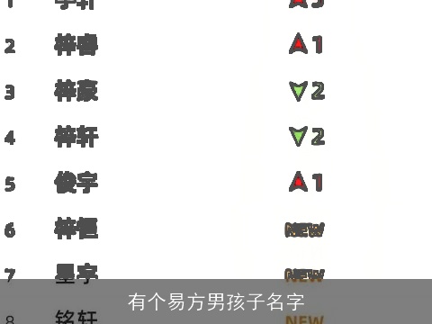 有个易方男孩子名字