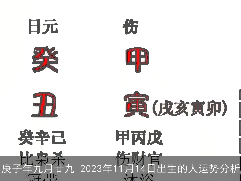 庚子年九月廿九 2023年11月14日出生的人运势分析