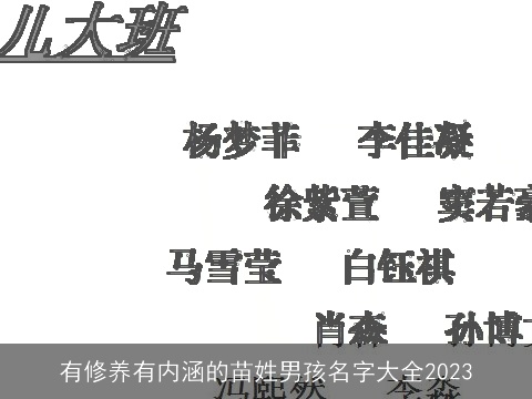 有修养有内涵的苗姓男孩名字大全2023