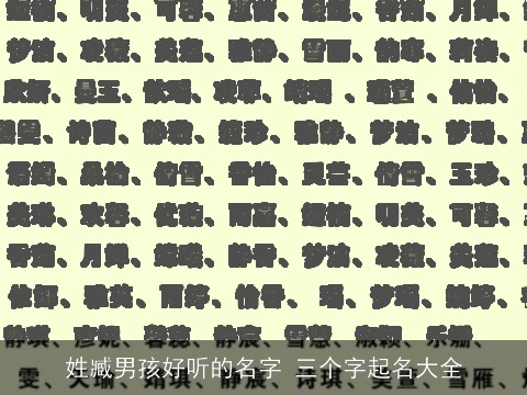 姓臧男孩好听的名字 三个字起名大全