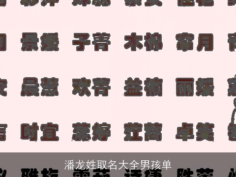 潘龙姓取名大全男孩单
